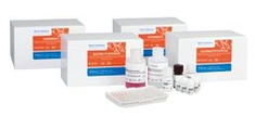 GastroPanel